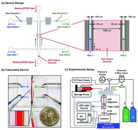 A Schematic Of The Pdms Microfluidic Device Capable Of Generating