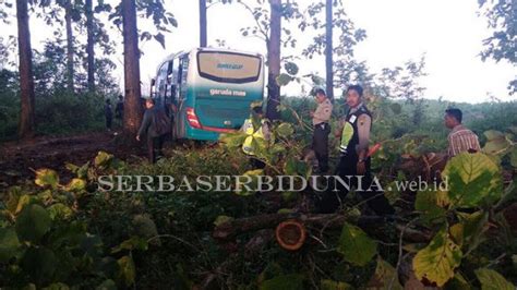 Kisah Bus Nyasar Ke Tengah Hutan Serba Serbi Dunia