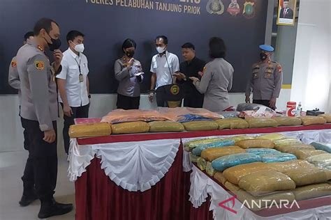 Polisi Gagalkan Peredaran Ganja 44 Kilogram Di Jakarta Antara News