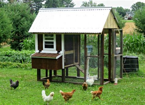 19 Outstanding Chicken Coop Ideas To Inspire You TSP Home Decor