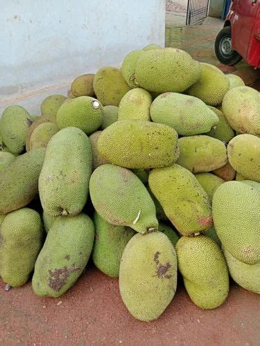 A Grade Kerala Jack Fruit Carton Packaging Size Kg At Rs Kg In