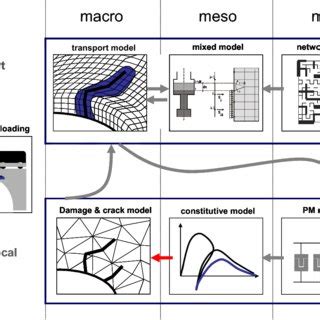 Schematic Overview Of The Multiscale Model For Coupled Transport And