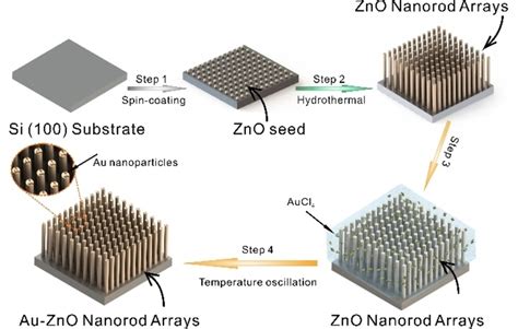 Schematic Diagram Of The Fabrication Process Of The AuZnO Nanorod