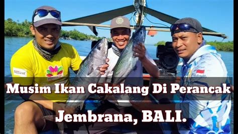 PESTA STRIKE SAAT MUSIM IKAN CAKALANG ATLANTIC BONITO DI DESA