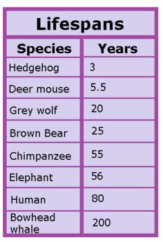 Gestation Period Of Animals Chart: A Visual Reference of Charts | Chart ...