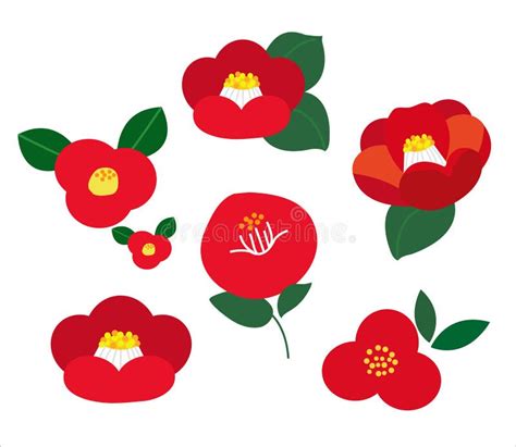 Red Camellia Flower Template Design Stock Illustration Illustration