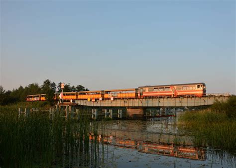 Żuławska Kolej Dojazdowa wąskotorowa Nowy Dwór Gdański Stegna