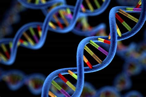 Dna Molecules Adn Intelligence Artificielle Et Transhumanisme