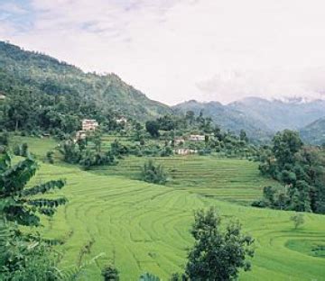 Days Darjeeling Kalimpong Gangtok With Lachung Trip Package