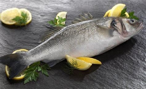 Barramundi L C G Th Ng Th C Nh Ng M N N L M T C Barramundi