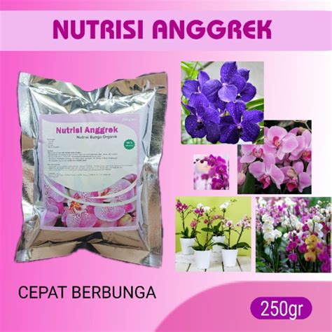 Jual Pupuk Anggrek Agar Cepat Berbunga Dan Tumbuh Tunas Untuk Anggrek