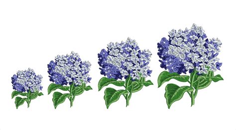 Hydrangea Machine Embroidery Designs Flowers Embroidery Etsy