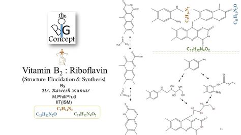 Vitamin B2 Riboflavin Structure Elucidation And Synthesis Thebigconceptpgtopics6291 Youtube