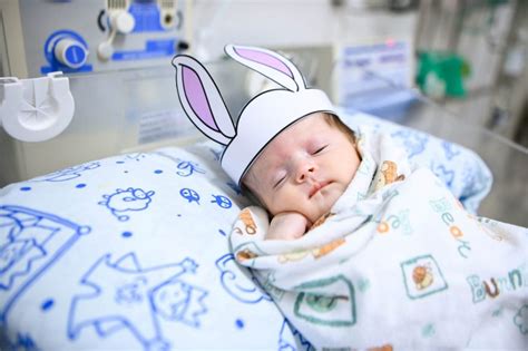 Bebês em UTI ganham ensaio fotográfico de coelhinho da Páscoa em hospital