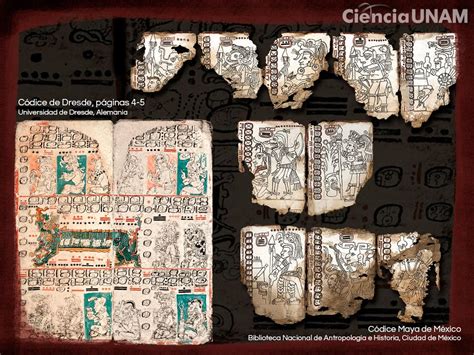 Codices Mayas