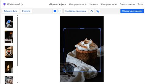 Обрезать фото онлайн бесплатно - по контуру и по кругу |Watermarkly