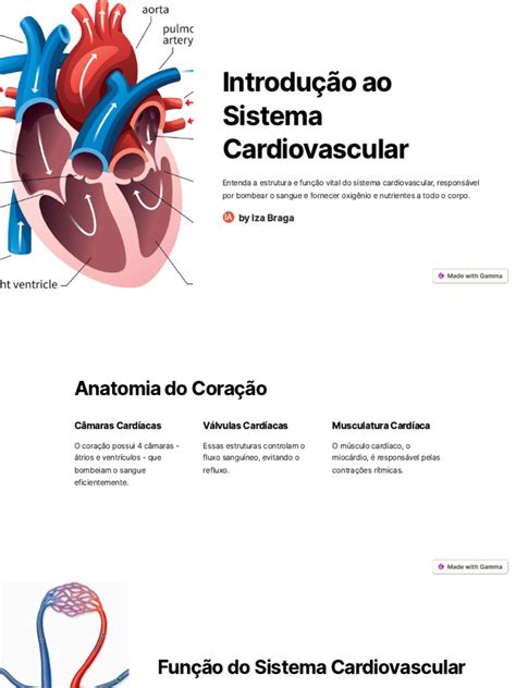 Introducao Ao Sistema CardiorespiratÓrio Pdf Coração Sistema Circulatório