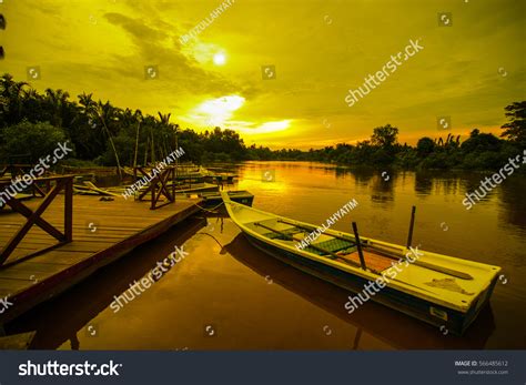 5 Kuala Selangor Firefly Images, Stock Photos & Vectors | Shutterstock