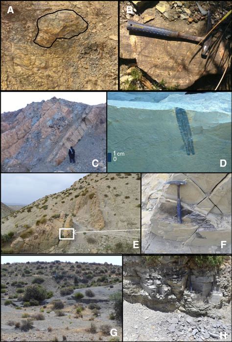 Lithology And Sedimentary Facies Of Valanginian Hauterivian