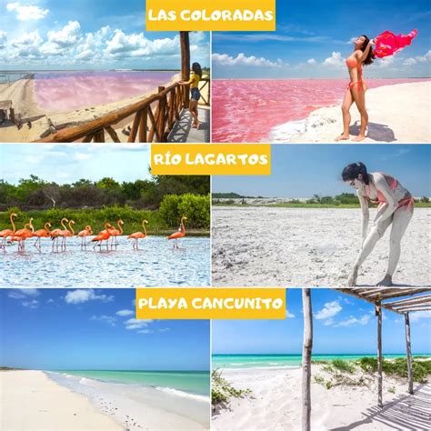 El mejor tour a Las Coloradas Tours desde Mérida Yucatán