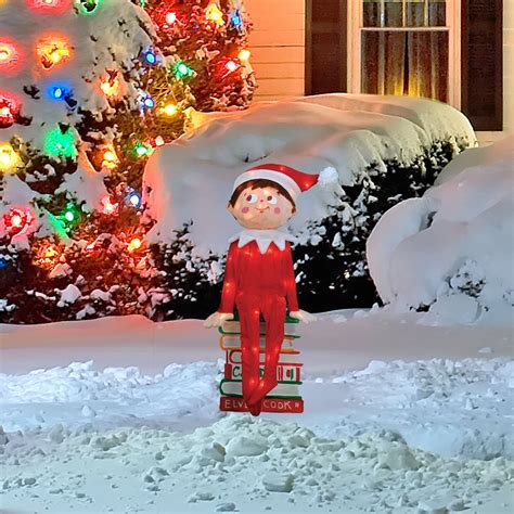 Tis Your Season | Elf on the Shelf