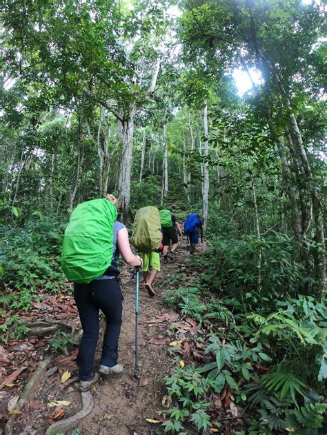 The Complete Guide To The Kokoda Trail Summit Strength