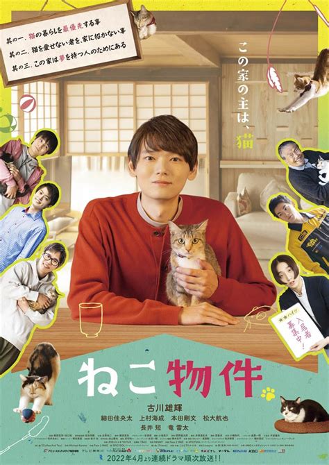 （写真）猫の日に猫まみれ！ 古川雄輝『ねこ物件』、究極の癒やしの猫画像22点公開 予告も到着 ドラマ ニュース ｜クランクイン！