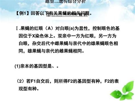 高三生物二轮专题复习：综合题型ppt课件自制word文档在线阅读与下载无忧文档