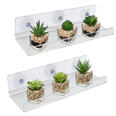 Best Suction Cup Window Planter: Our Top Picks