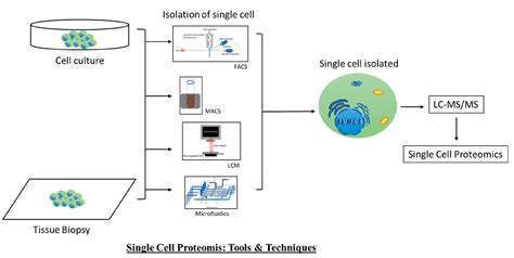 Single Cell Proteomics With Spatial Attributes Tools And Techniques