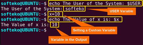 The “echo” Command In Linux [7 Practical Examples]