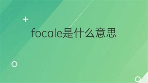 Focale是什么意思 Focale的翻译、读音、例句、中文解释 下午有课