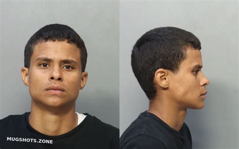 Rodriguez Brianna Naydet Miami Dade County Mugshots Zone