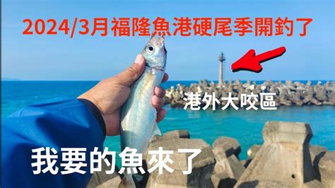 （第25集）福隆魚港3月硬尾魚季開釣了我要的魚來了臺灣釣魚 Youtube