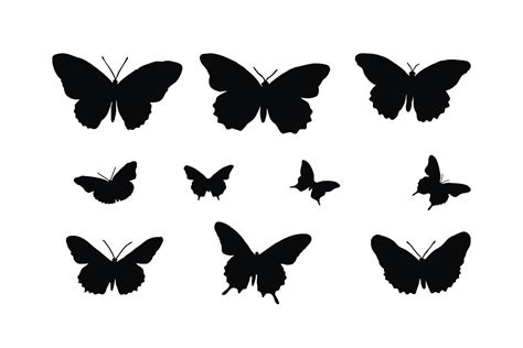 Butterfly Silhouette