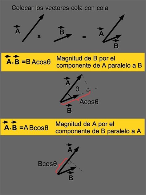 Vectores Qu Son Y Operaciones Con Explicaciones Toda Materia