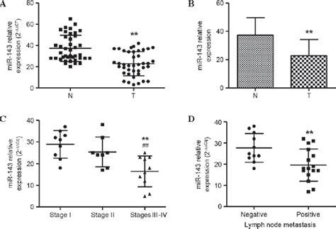 Figure From Functions Of Microrna In The Apoptosis Invasion And