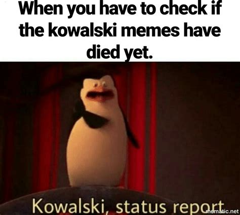 Status report : r/Kowalski_Memes