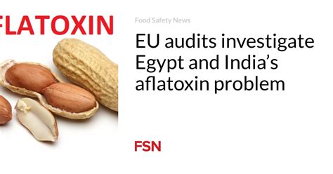 Eu Audits Investigate Egypt And Indias Aflatoxin Problem Food Safety