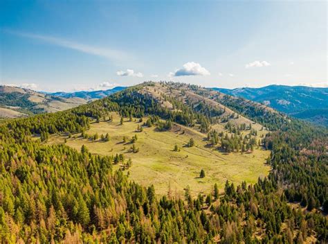 Wauconda Okanogan County Wa Farms And Ranches Timberland Property