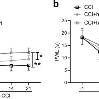 Hmgb Tlr Pathway Was Involved In The Effect Of Intrathecal Injection