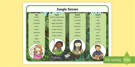 Jungle And Rainforest Sense Word Mat Twinkl