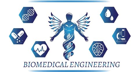 Biomedical Engineering Wallpapers - Top Free Biomedical Engineering ...