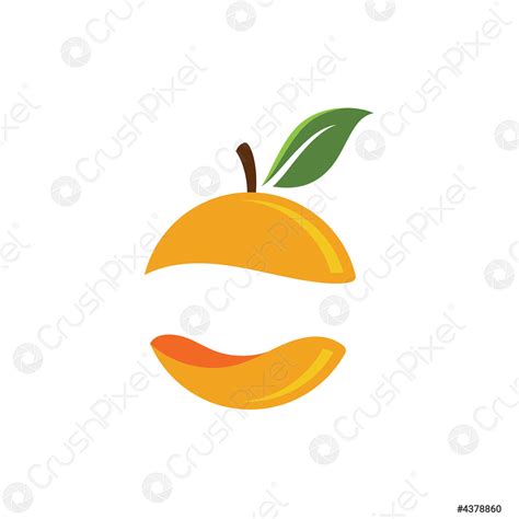 Orange Fruit Logo Vector Design Illustration Icon Stock Vector