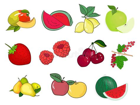 Set Of Berries And Fruits Vector Illustration Stock Vector