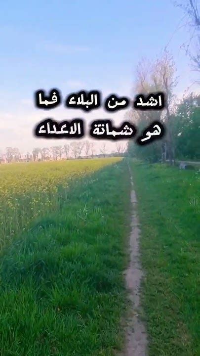 ماهو أصدق البر والنصائح الثلاثة في الحياة Shortvideo Youtubeshorts