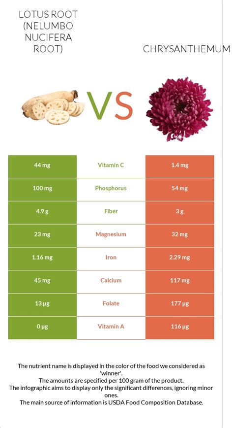 Lotus Root Vs Chrysanthemum — In Depth Nutrition Comparison