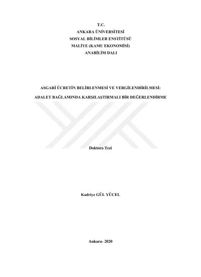 T C ANKARA ÜNİVERSİTESİ SOSYAL BİLİMLER ENSTİTÜSÜ MALİYE KAMU