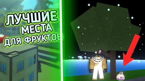 САМЫЕ ЛУЧШИЕ МЕСТА СПАВНА ФРУКТОВ в БЛОКС ФРУТС Blox Fruits Roblox