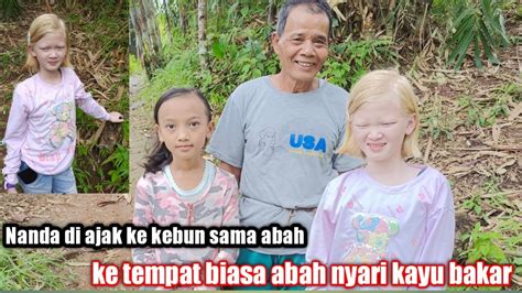 Nanda Sama Aini Ikut Ke Kebun Sama Abah Ke Tempat Biasa Abah Mencari